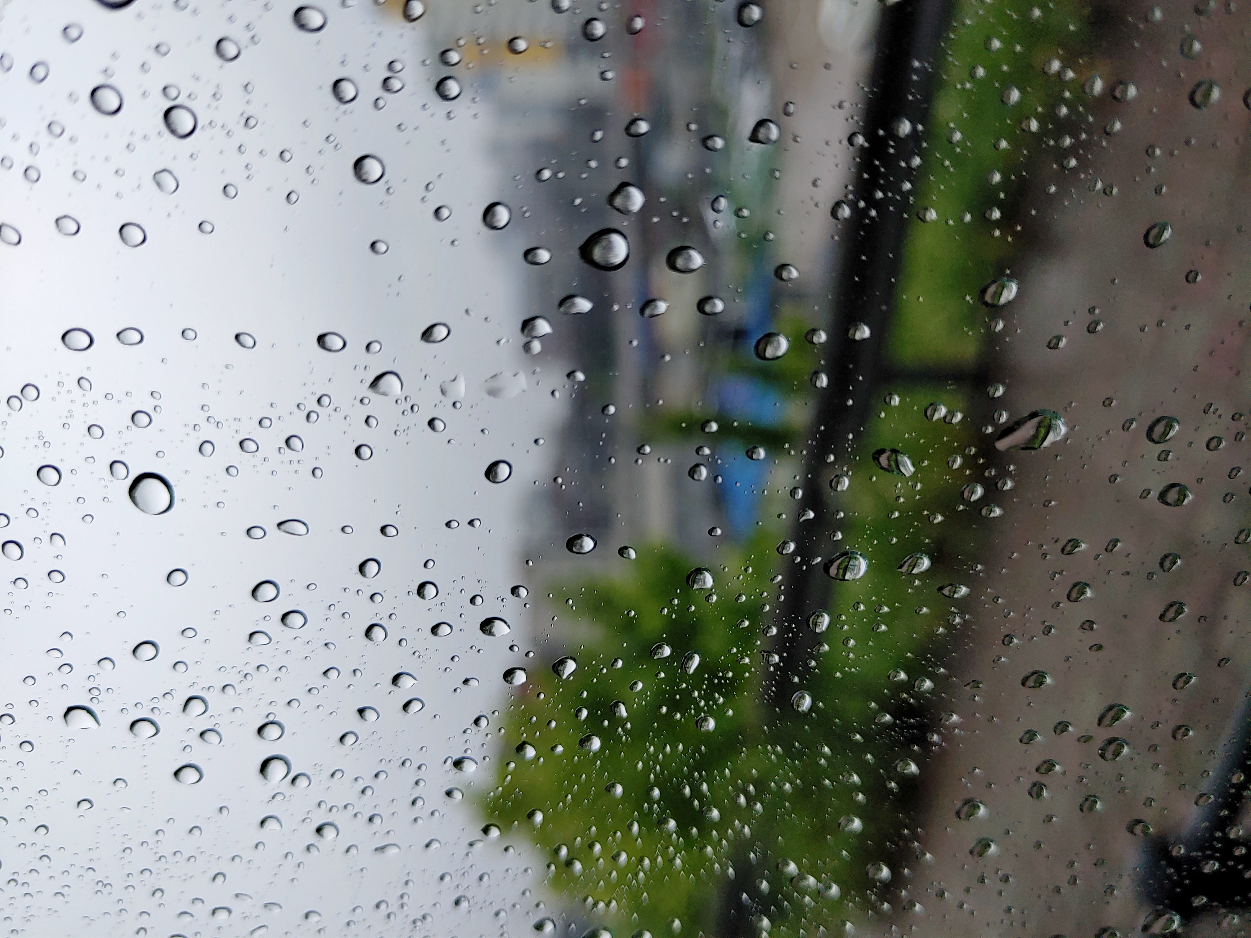 비오는 직딩이의 주말