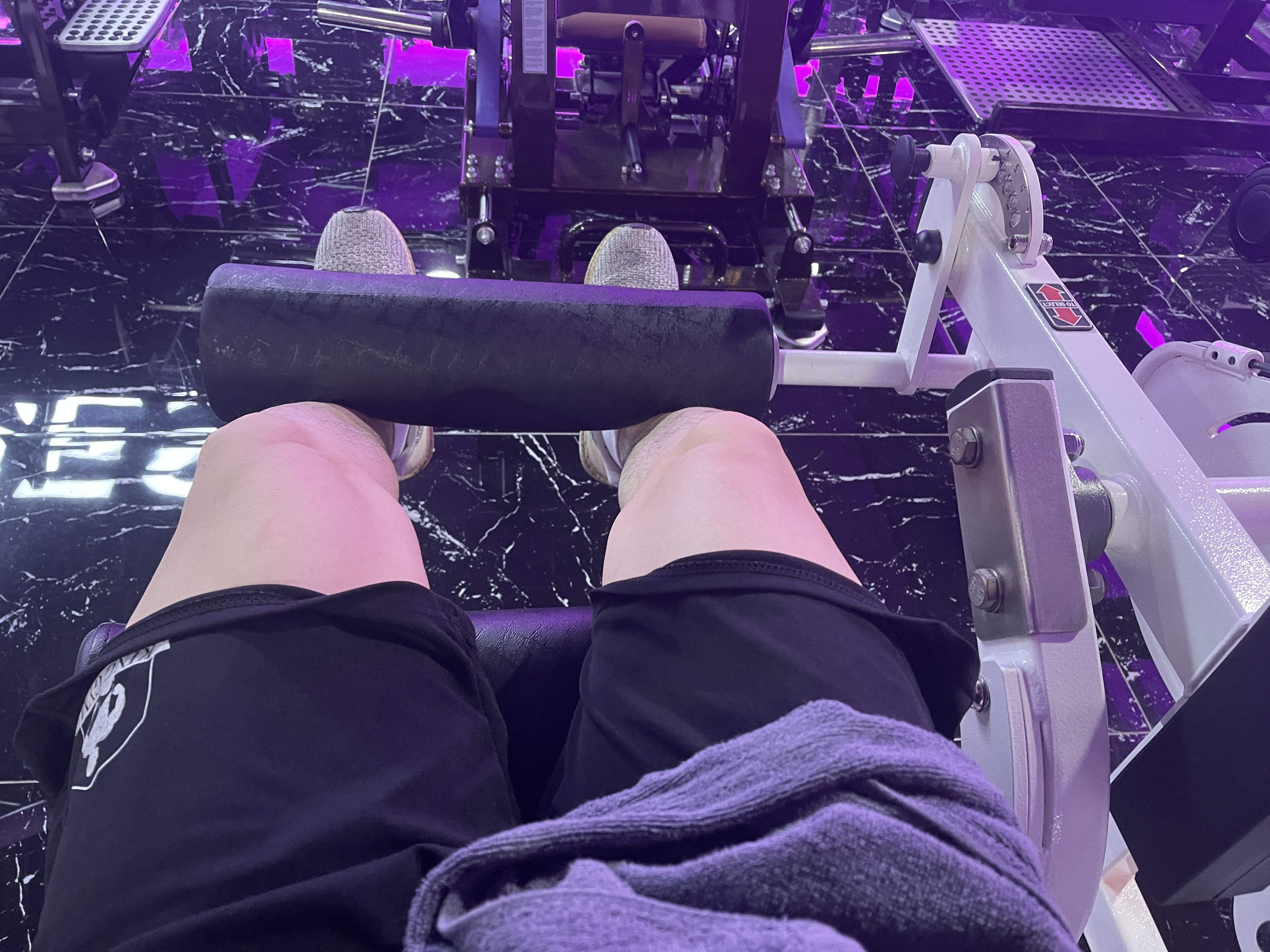 오늘은 하체