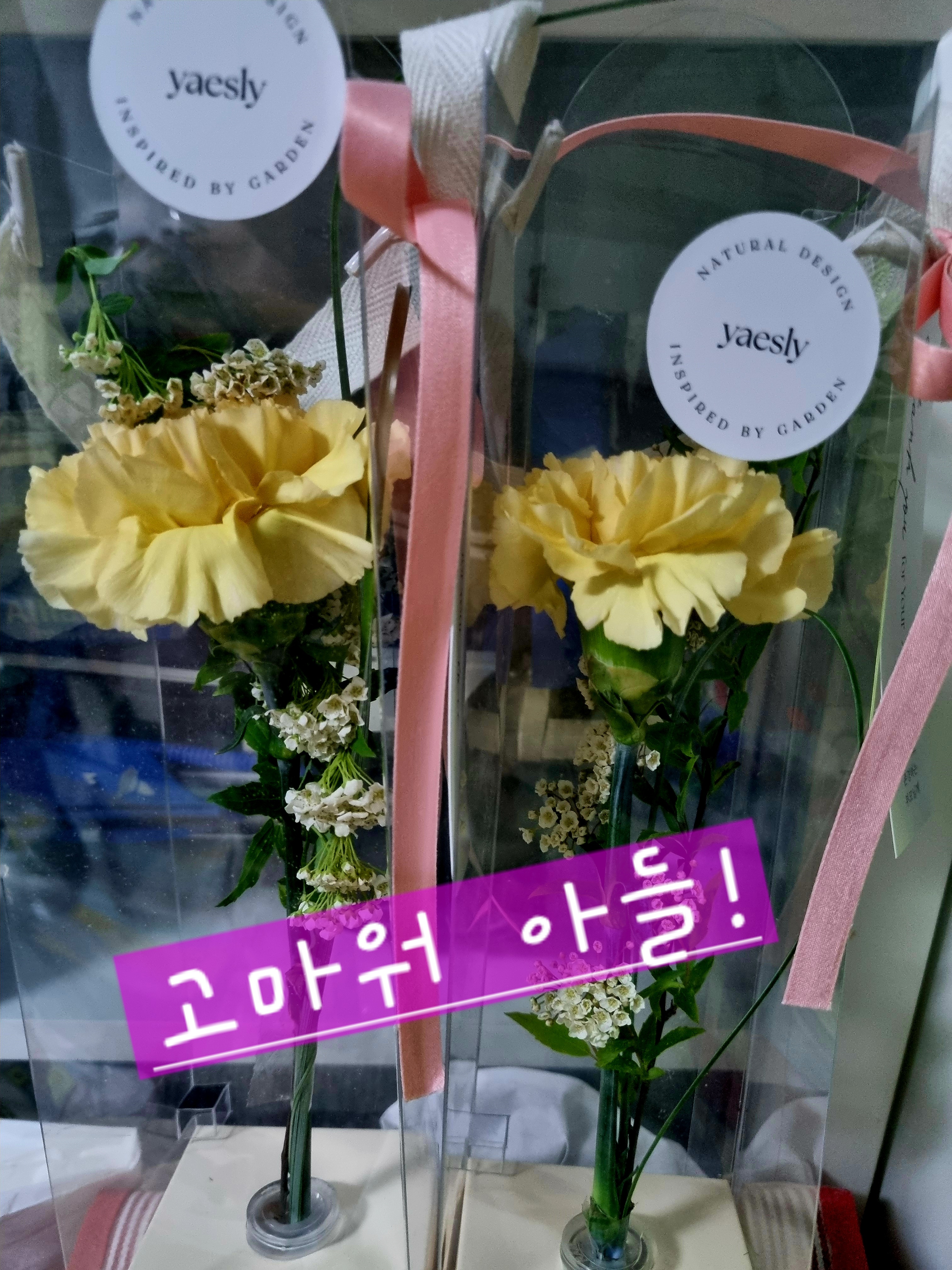 라떼는 말이야~