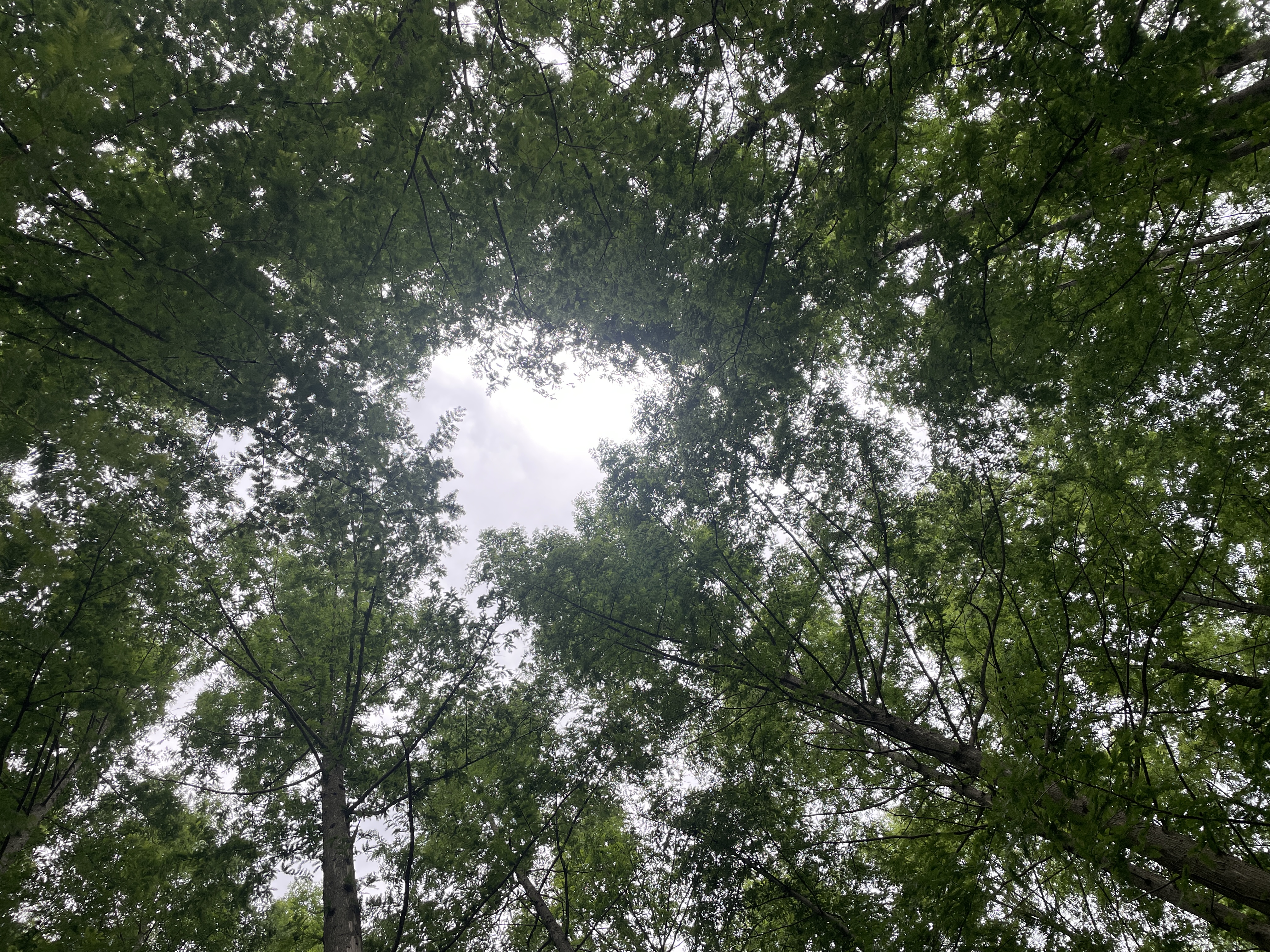 하늘 ?